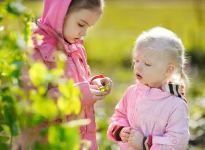 Girls picking berries