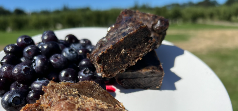 pemmican and berries